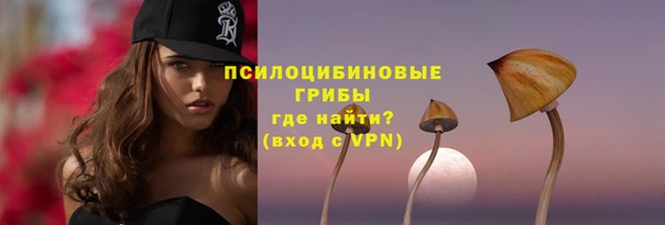 а пвп мука Горняк