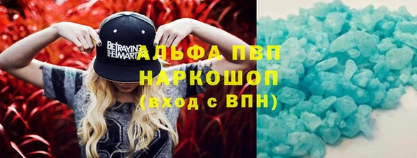сатива Няндома