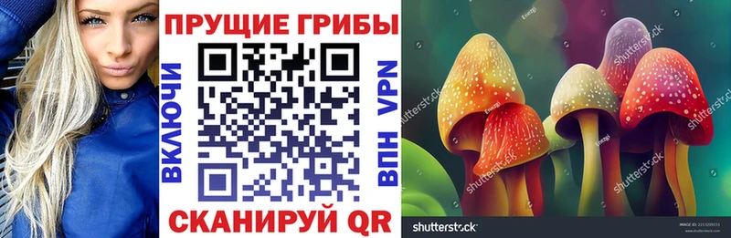 Галлюциногенные грибы GOLDEN TEACHER  Купить закладки  Инсар 